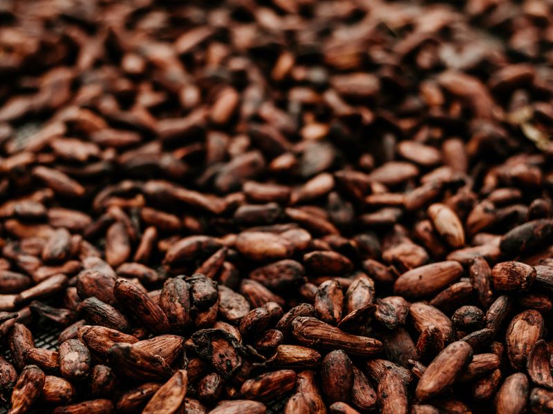 Cocoa beans