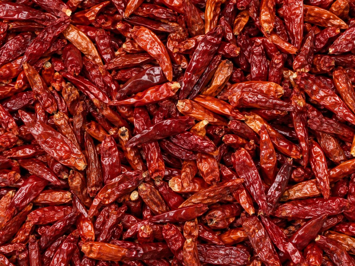 Dried red chilli peppers